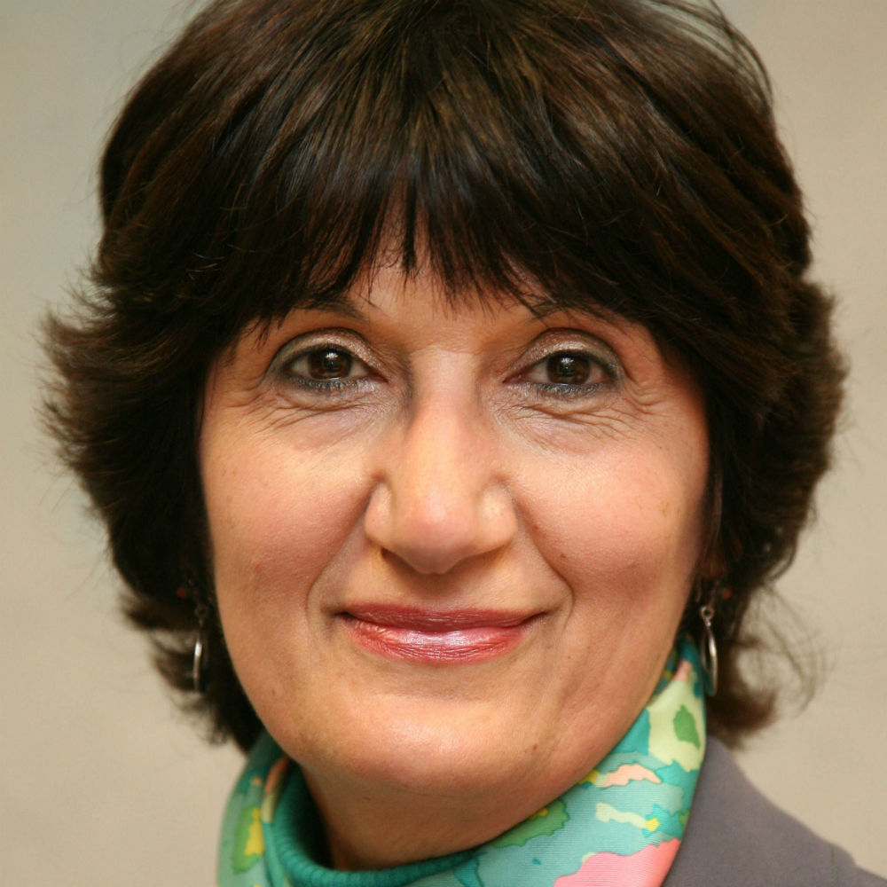 Professor Selwa Alsam