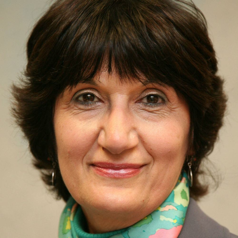 Professor Selwa Alsam  
