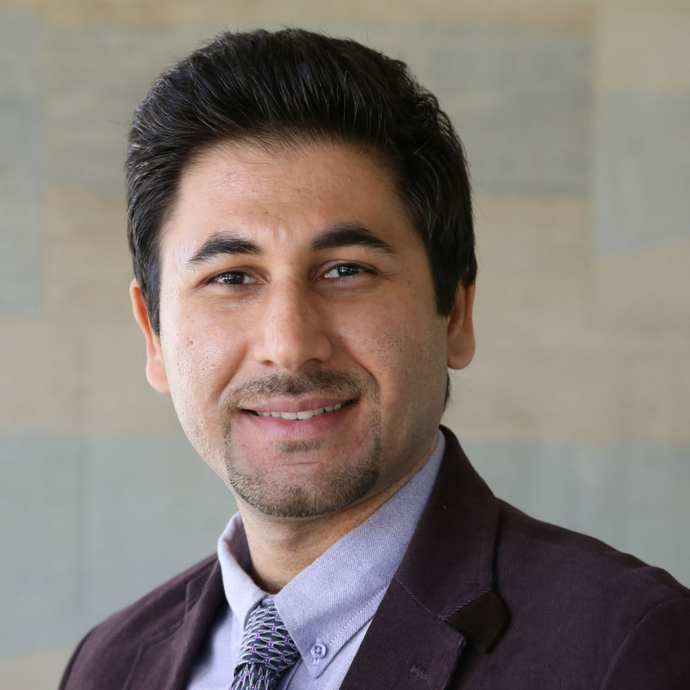 Dr Hossein Anisi
