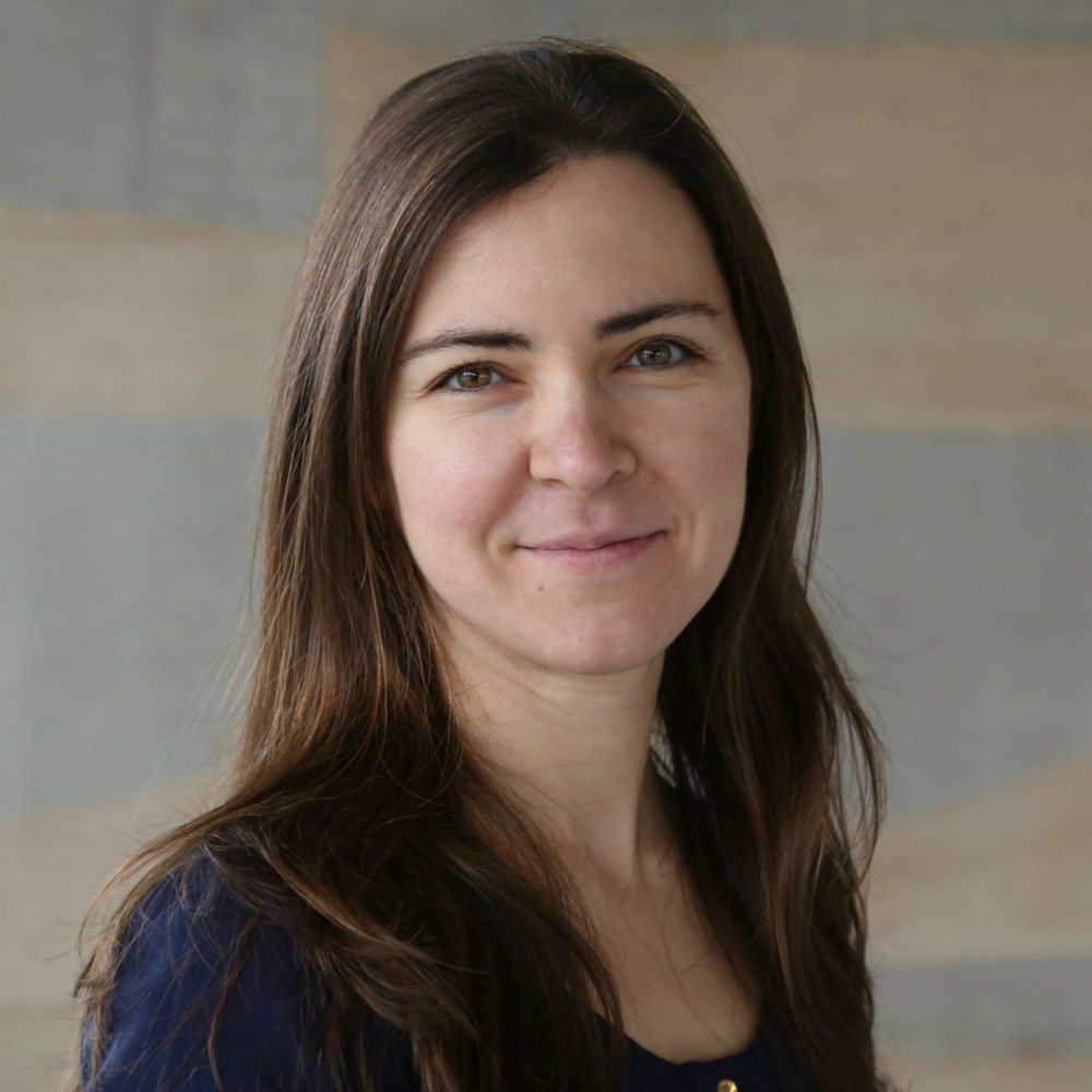 Dr Eirina Bourtsoulatze  
