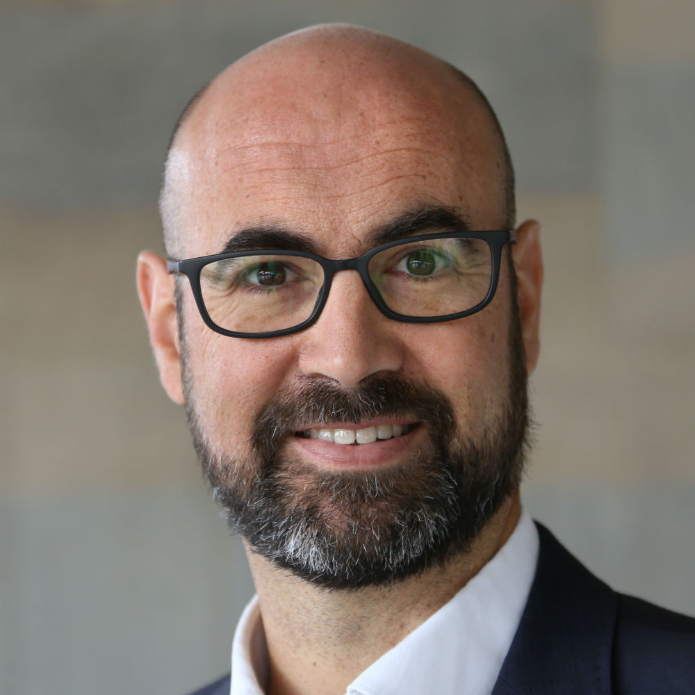 Professor Carlos Carrillo Tudela