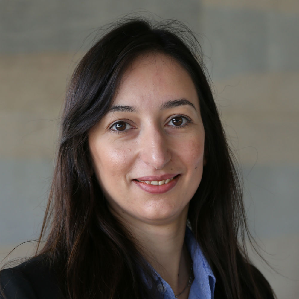 Dr Stella Hadjiantoni