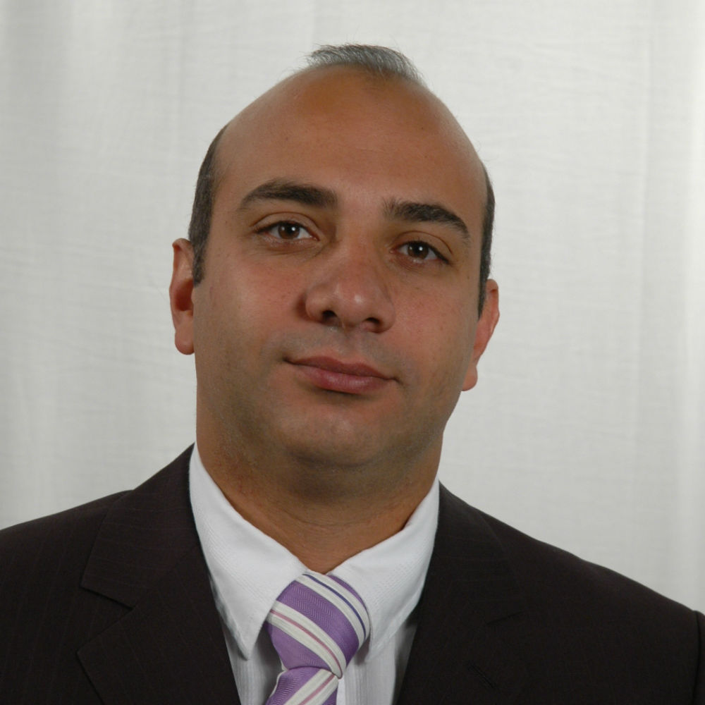 Professor Hani Hagras  