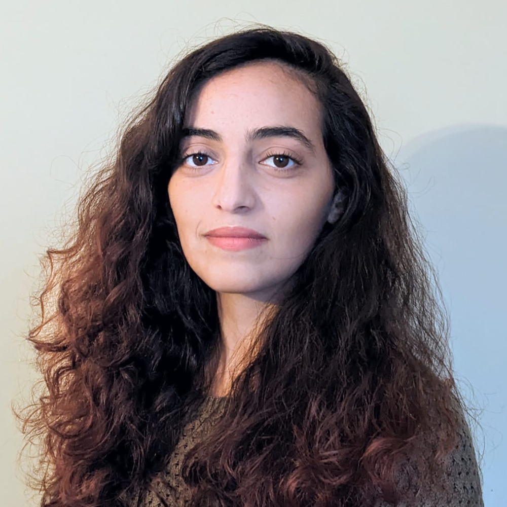 Rasha Ali Muhsen Hamid