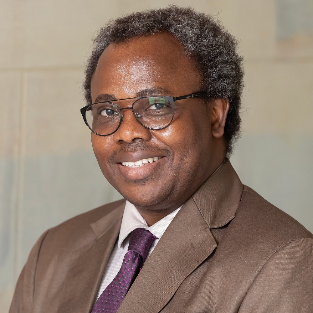 Professor Emmanuel Idowu