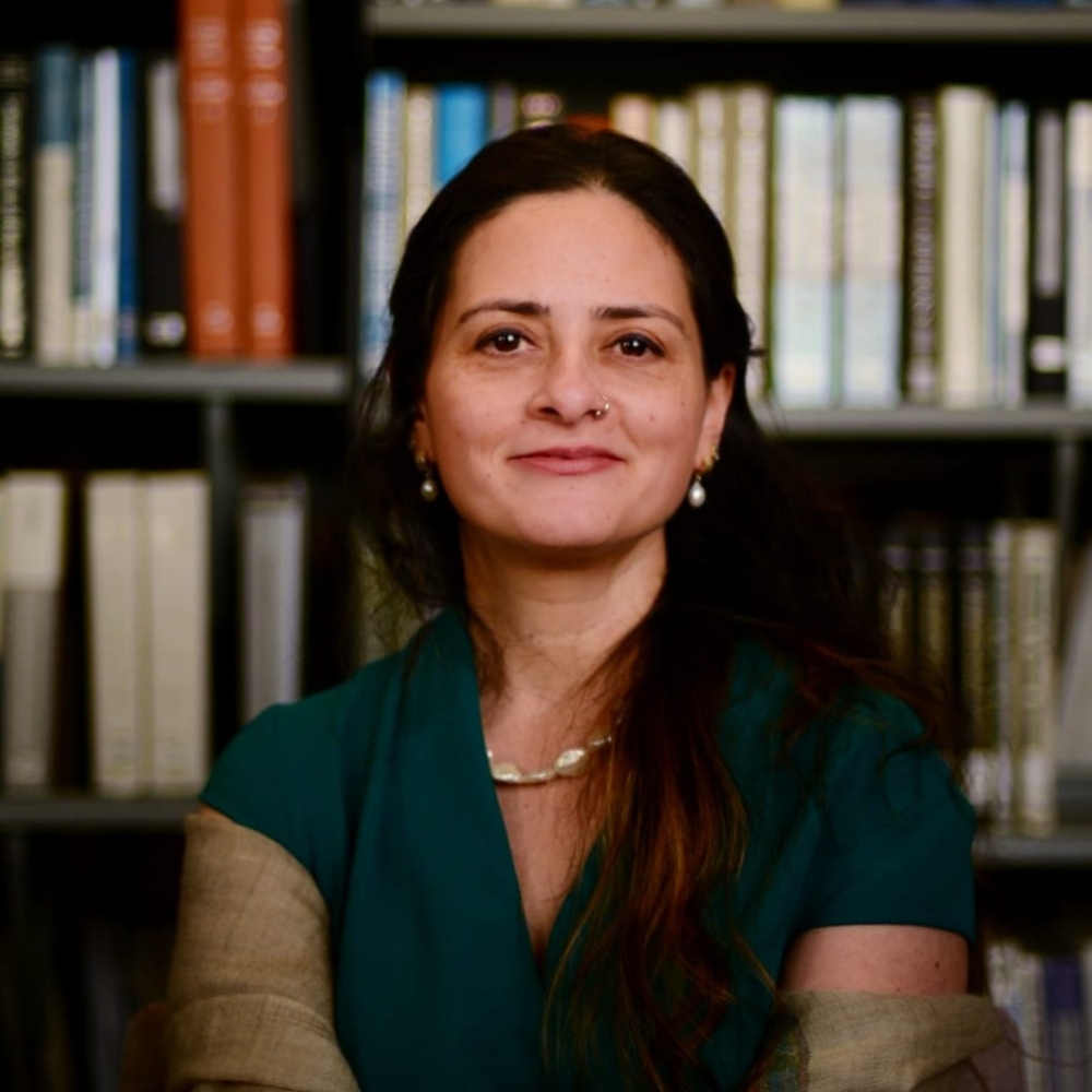 Professor Anuj Kapilashrami