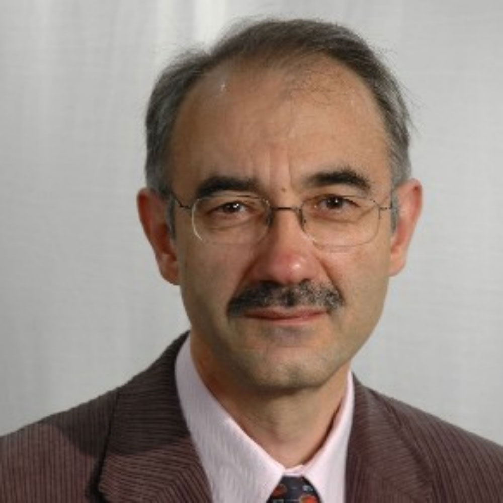 Professor Dariush Mirshekar-Syahkal