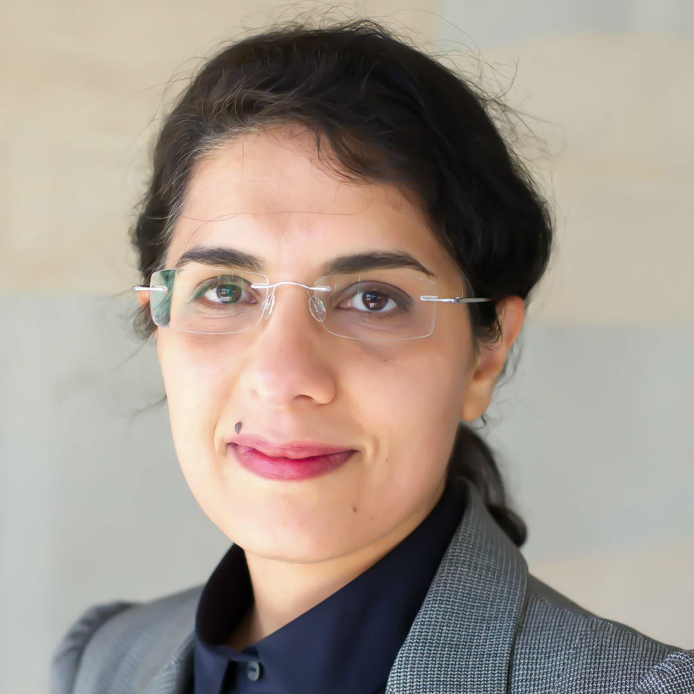 Professor Leila Musavian  