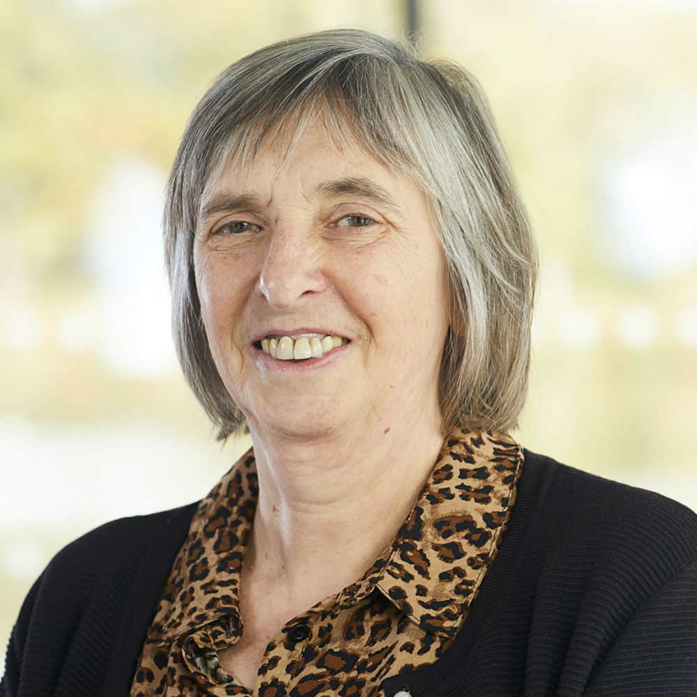 Professor Christine Raines  