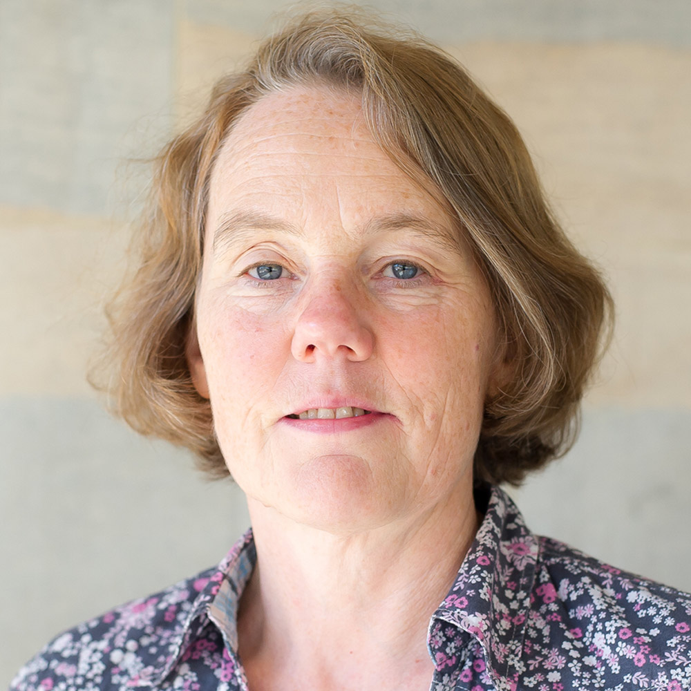 Professor Alison Rowlands  