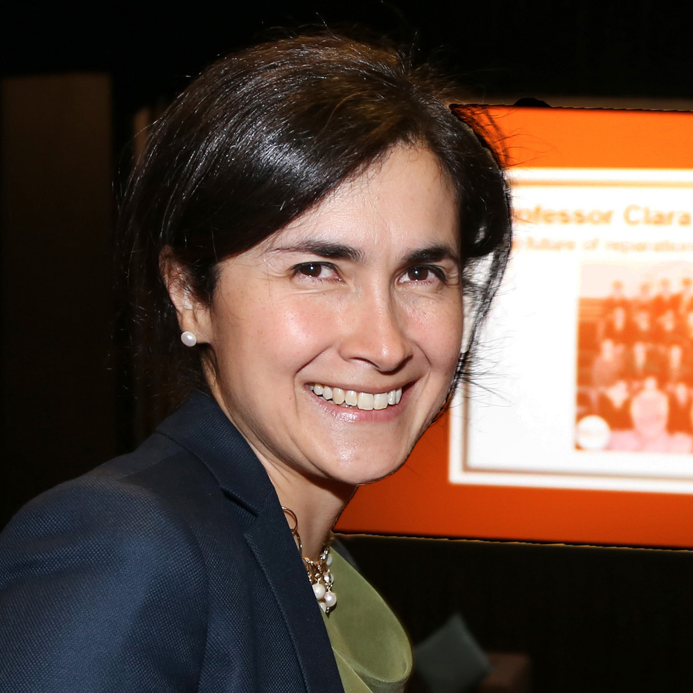 Professor Clara Sandoval-Villalba