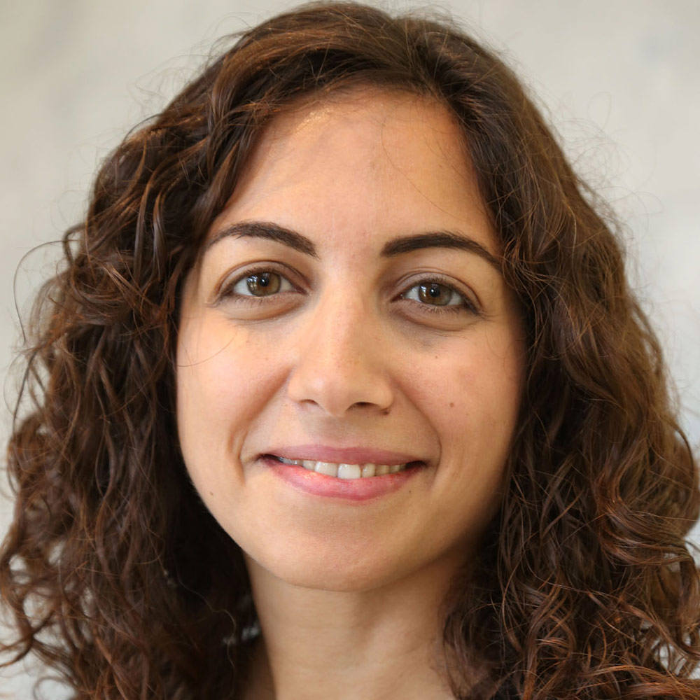 Dr Anil Yilmaz Vastardis  