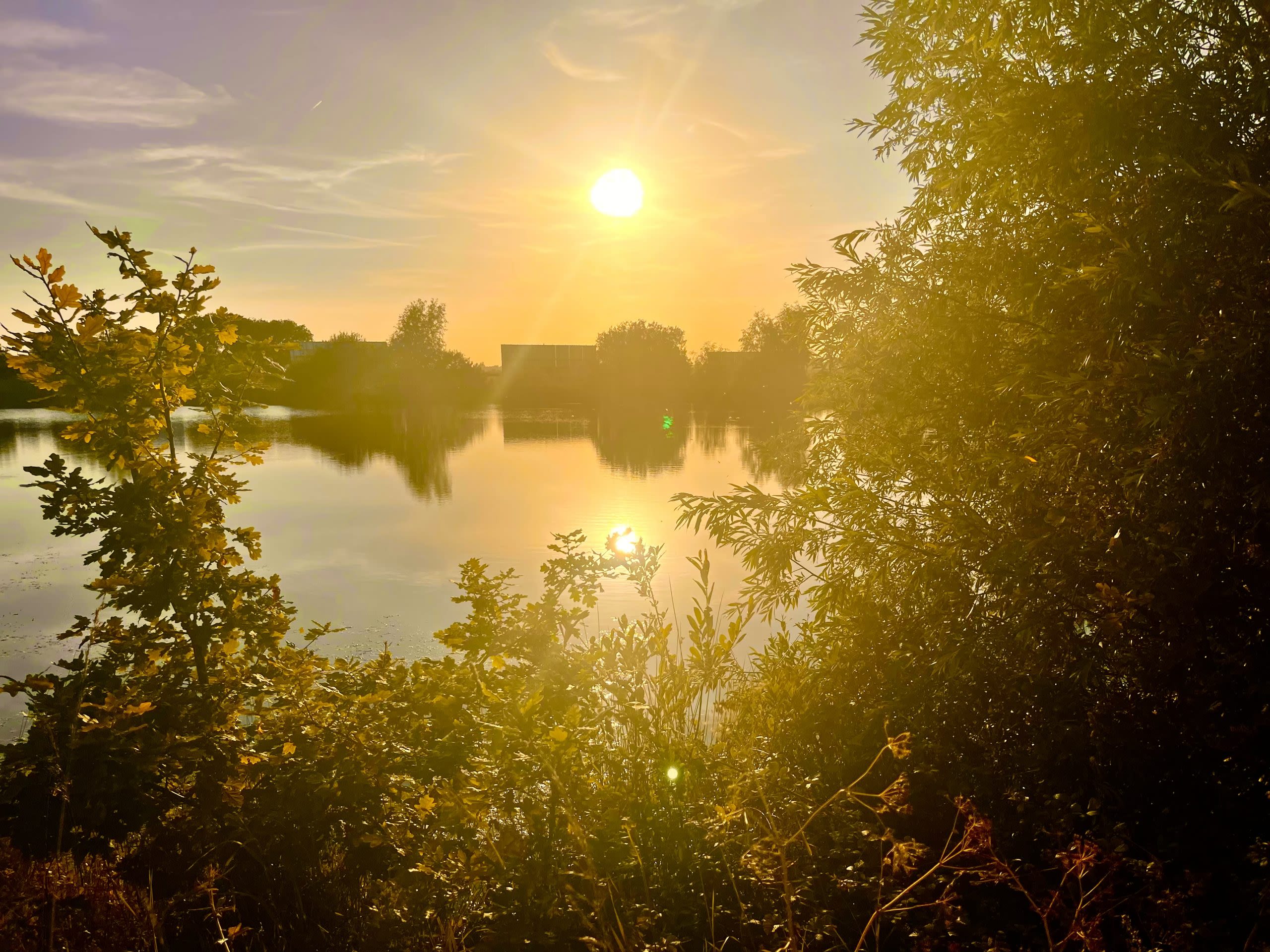 A backdrop of a lake with the sun reflecting on to it.