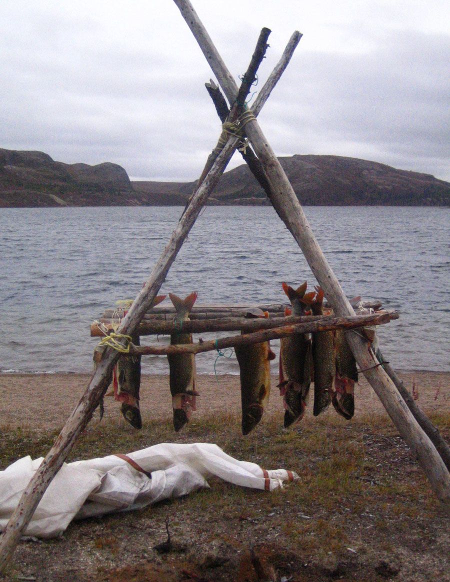 Fish hanging outside by river on wooden stand to dry