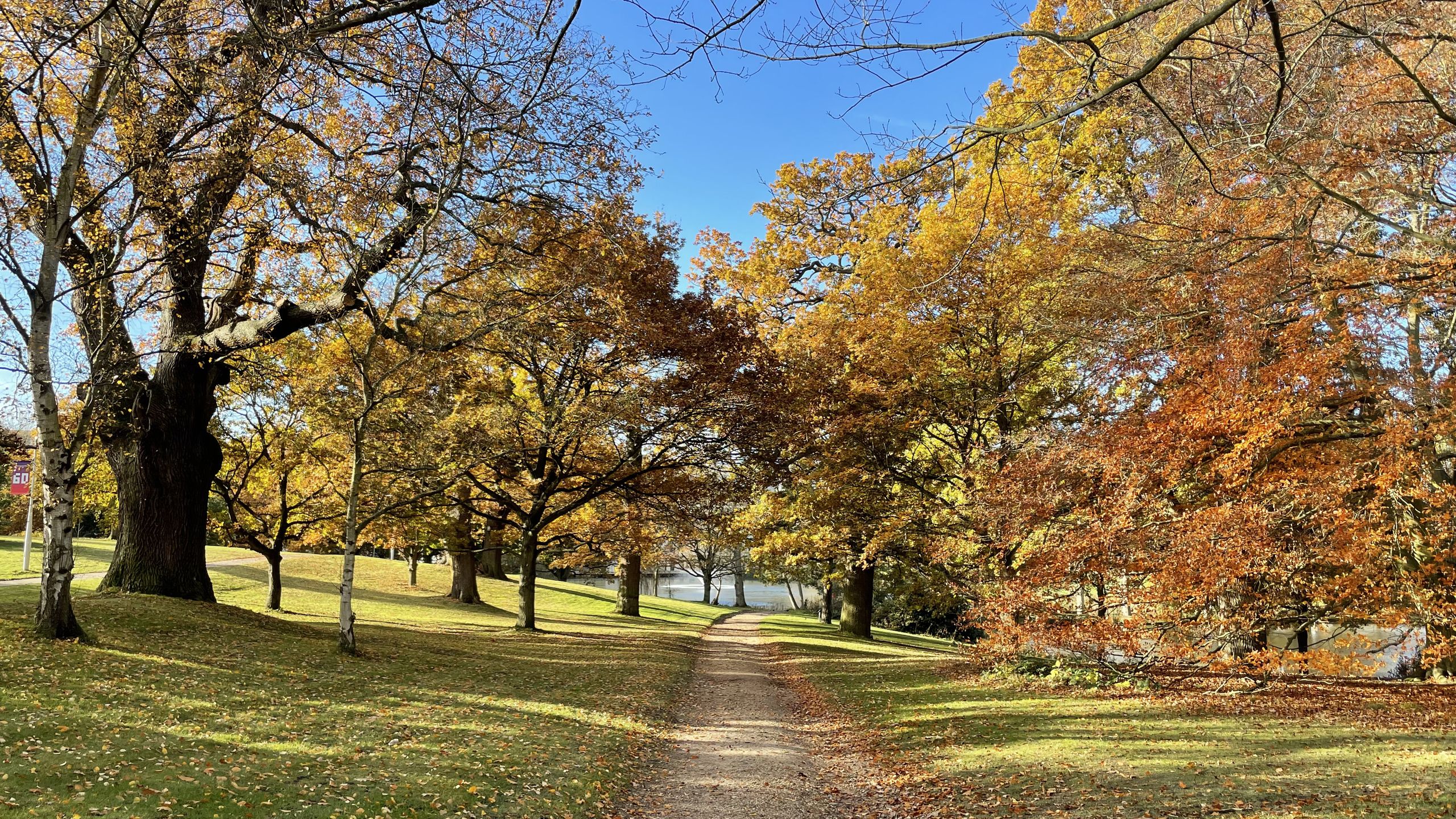 A path down to a lake set between autumnal trees.