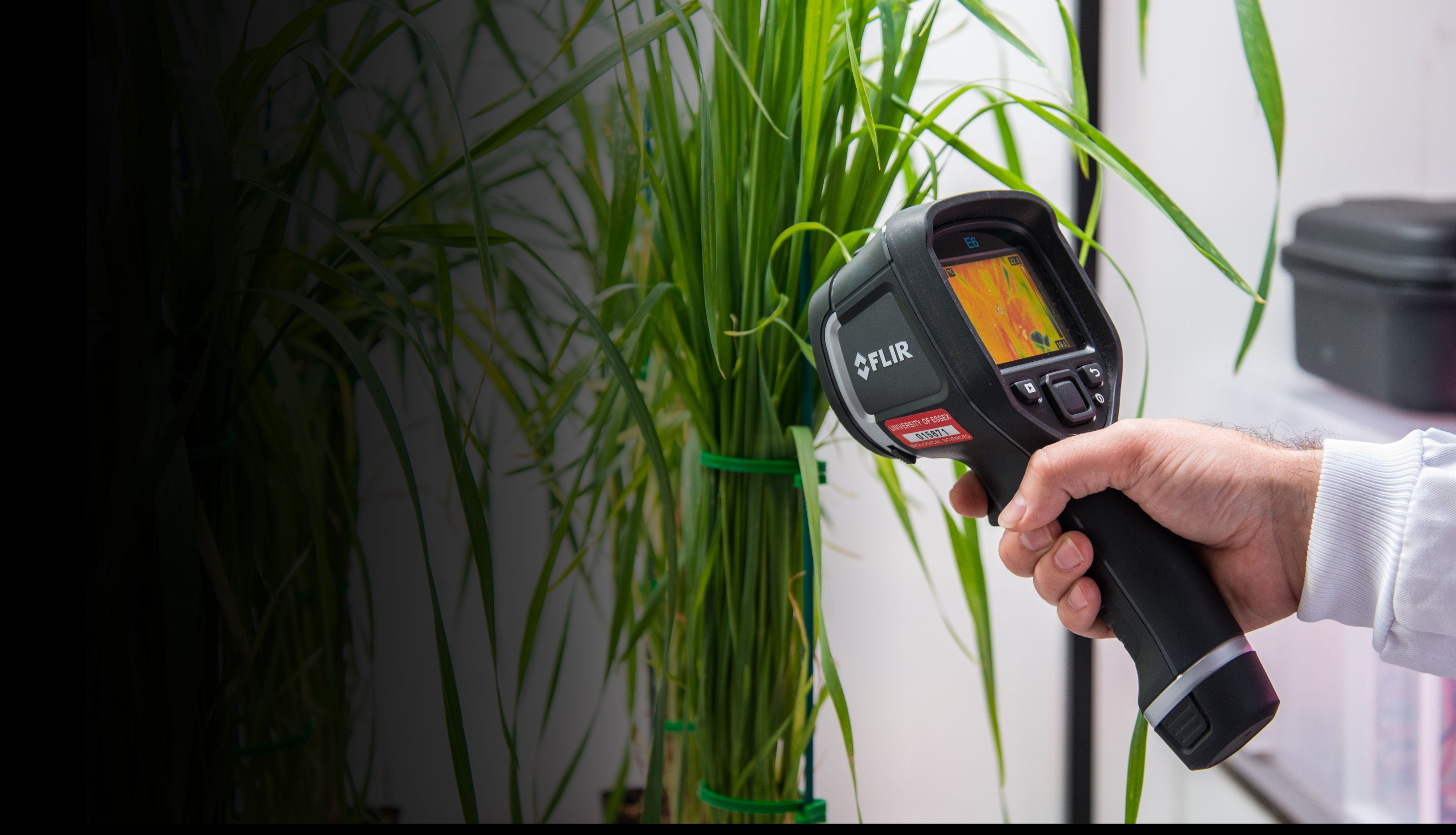 Imaging camera examining plants