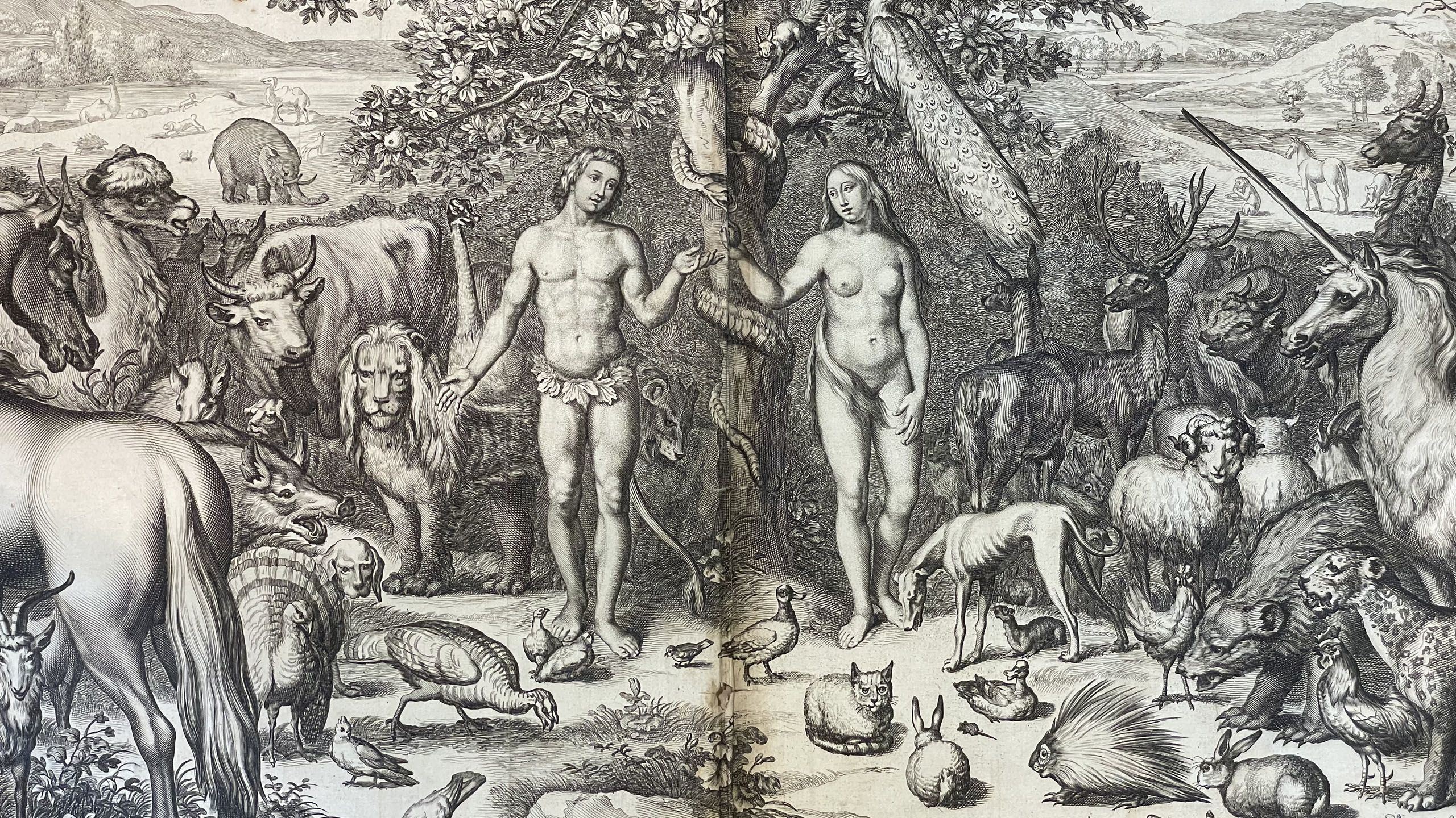 A detailed drawing of Adam and Eve beneath a tree in the garden of Eden. They are surrounded by real and mythical animals and birds.