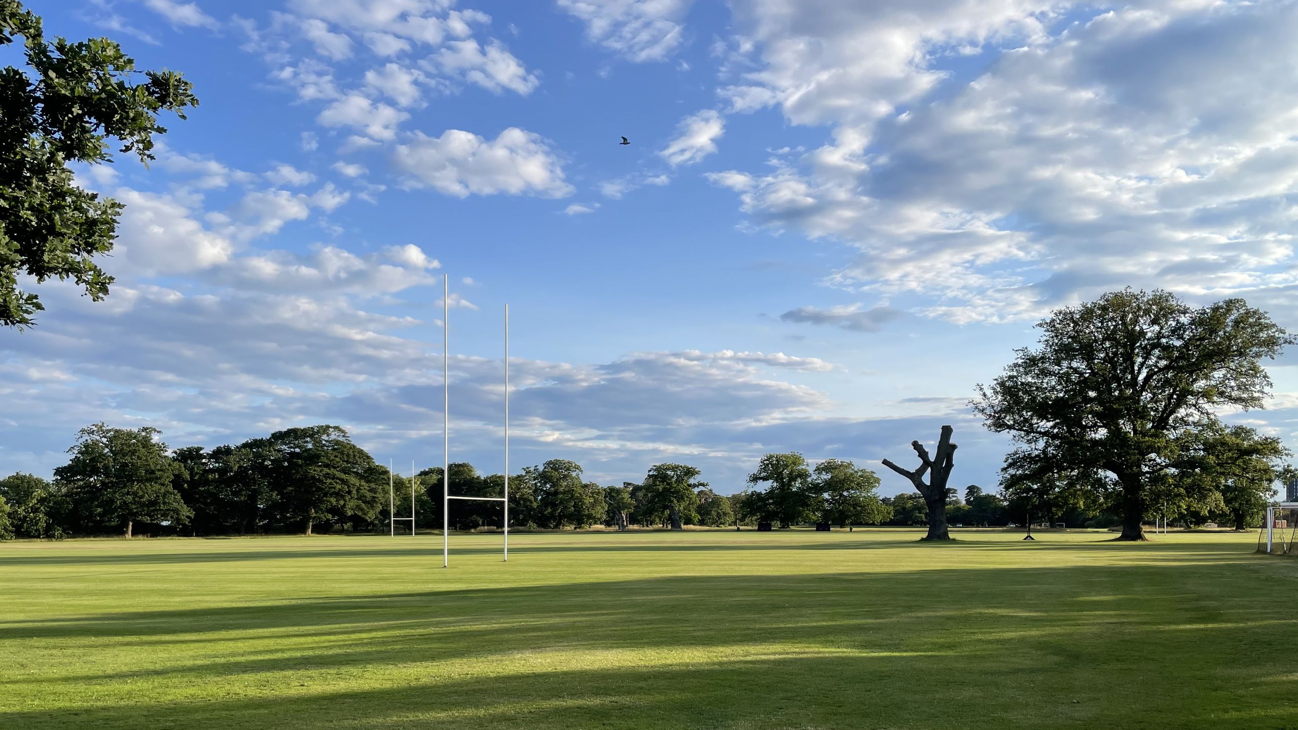Rugby posts on a field bordered by mature trees.