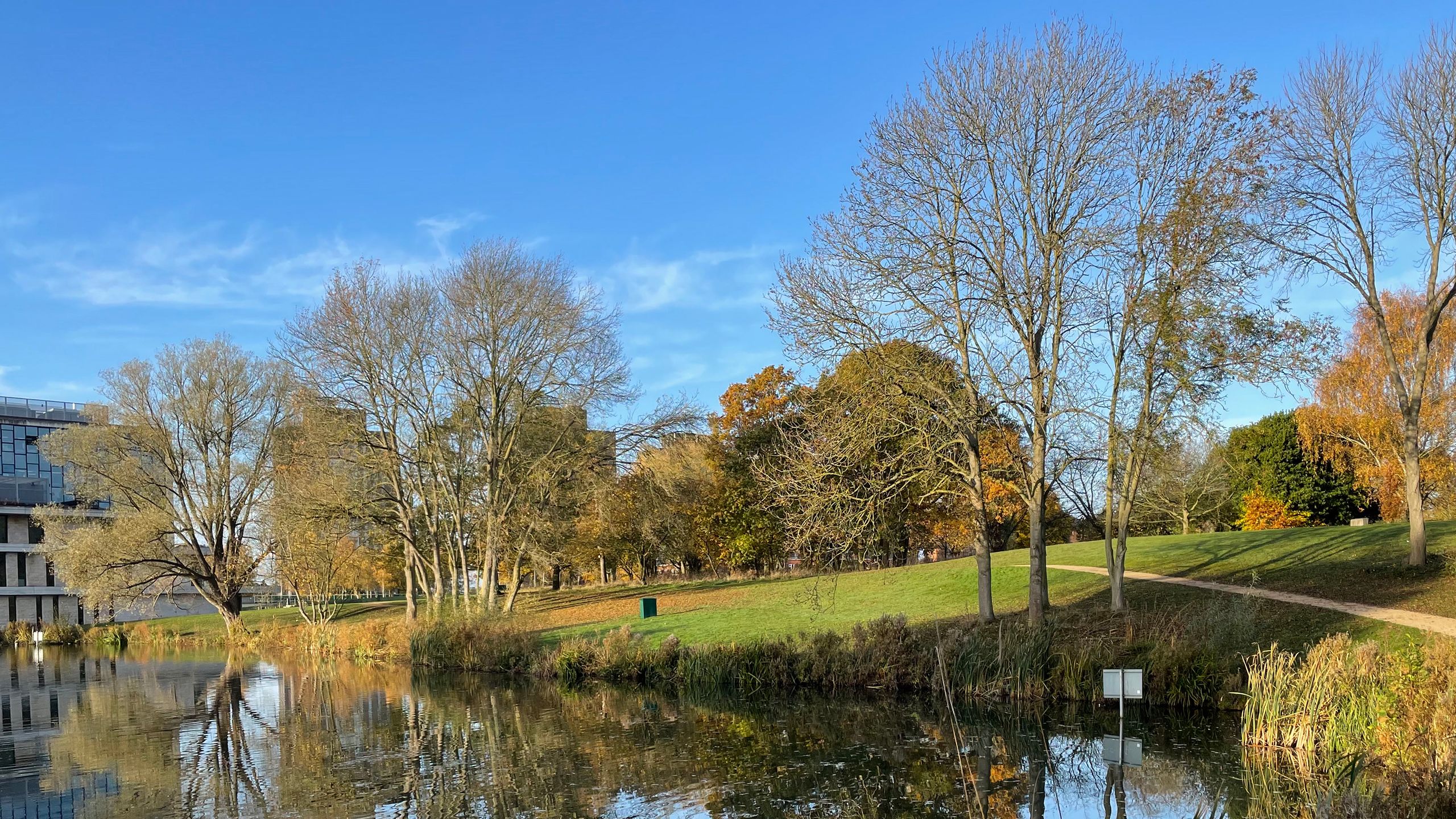 Bare trees and the leaves they have dropped are reflected in a lake on our Colchester Campus.