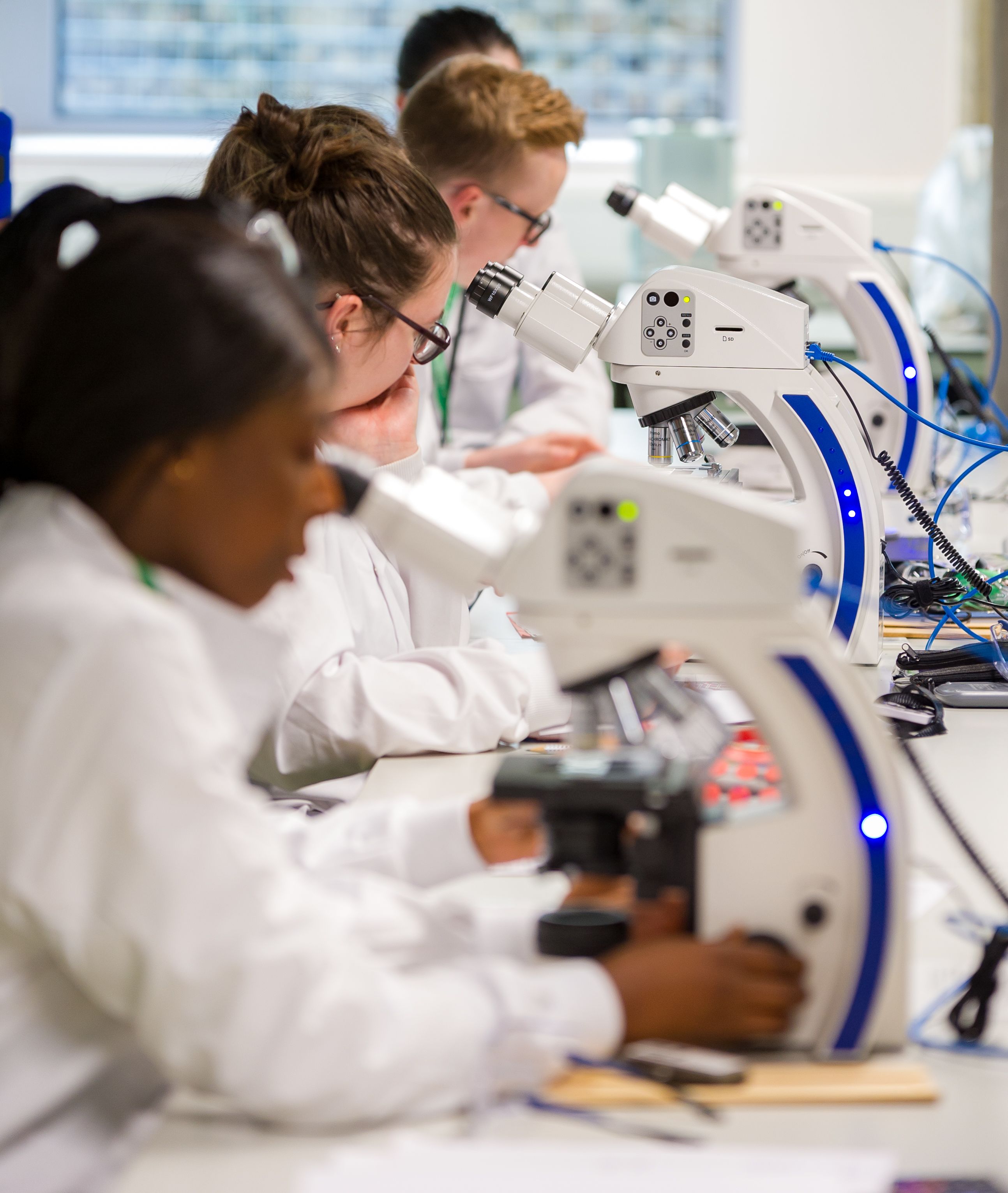 Group of science students looking into the microscope
