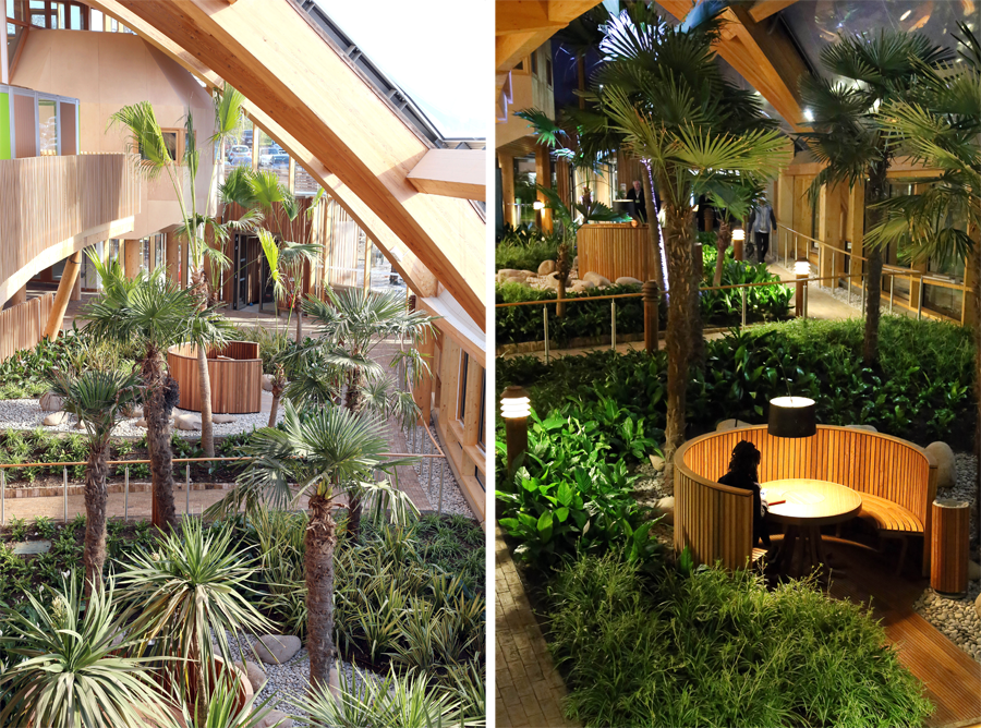 Side-by-side views of the winter garden in Essex Business School. By day, a warm stone path sweeps around palm trees which grow tall in the sunlight. By night, warm lamps make circular benches into cosy spaces among greenery.