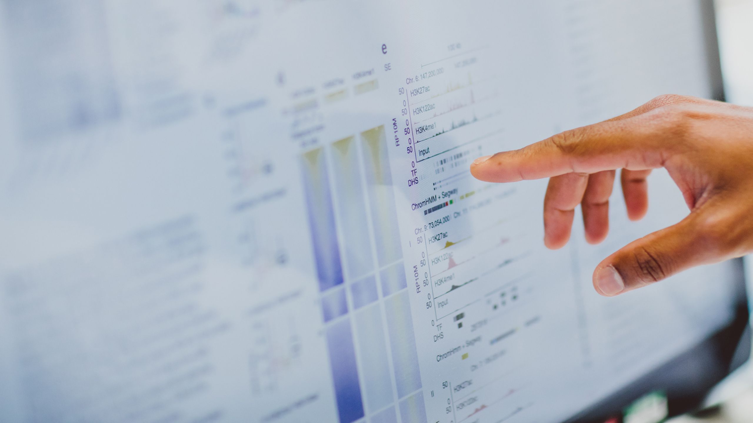 Person pointing to data on PC screen