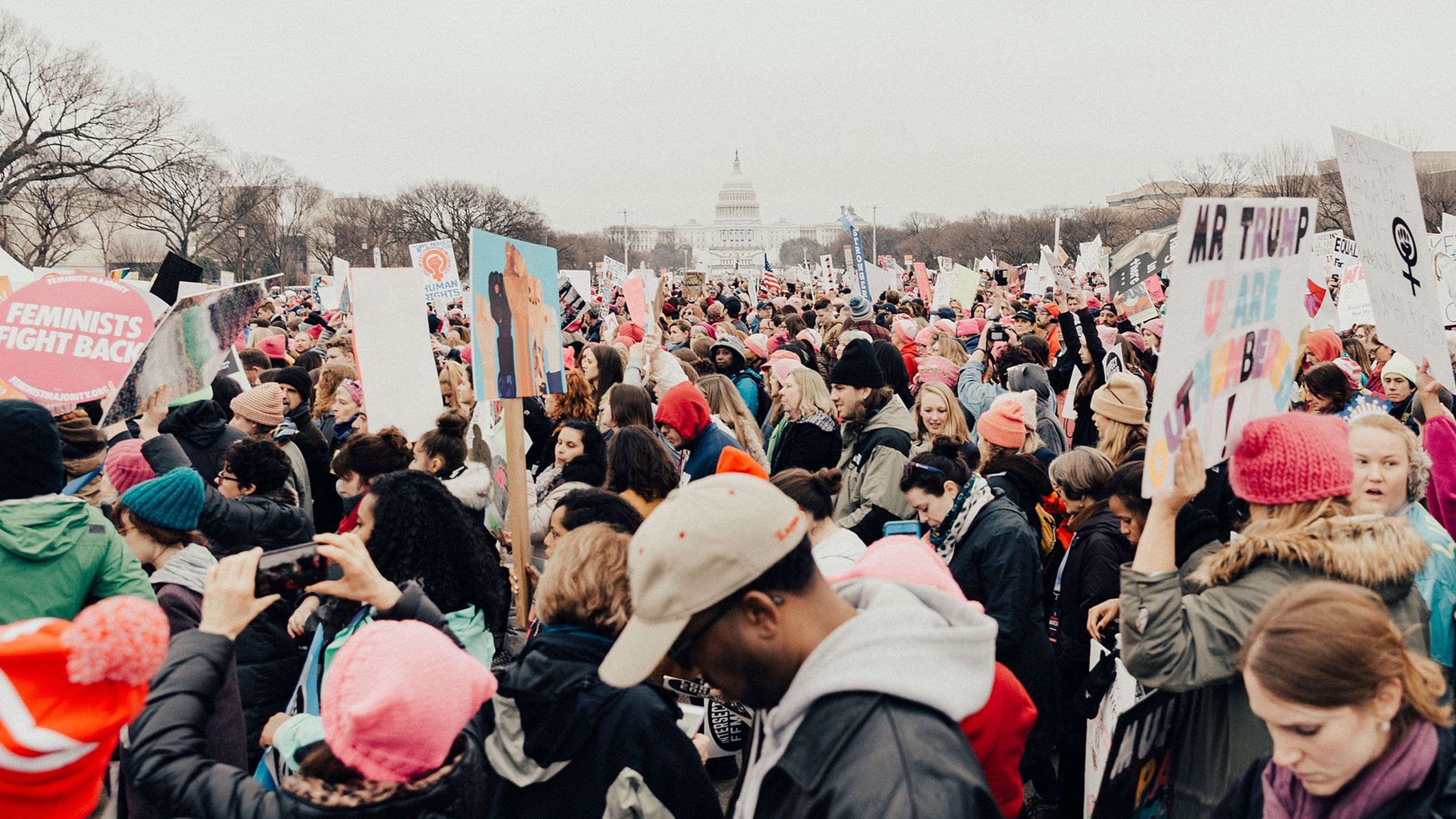 Demonstration in Washington DC