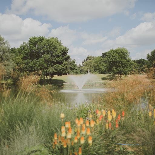 Images of projects which are looking for support