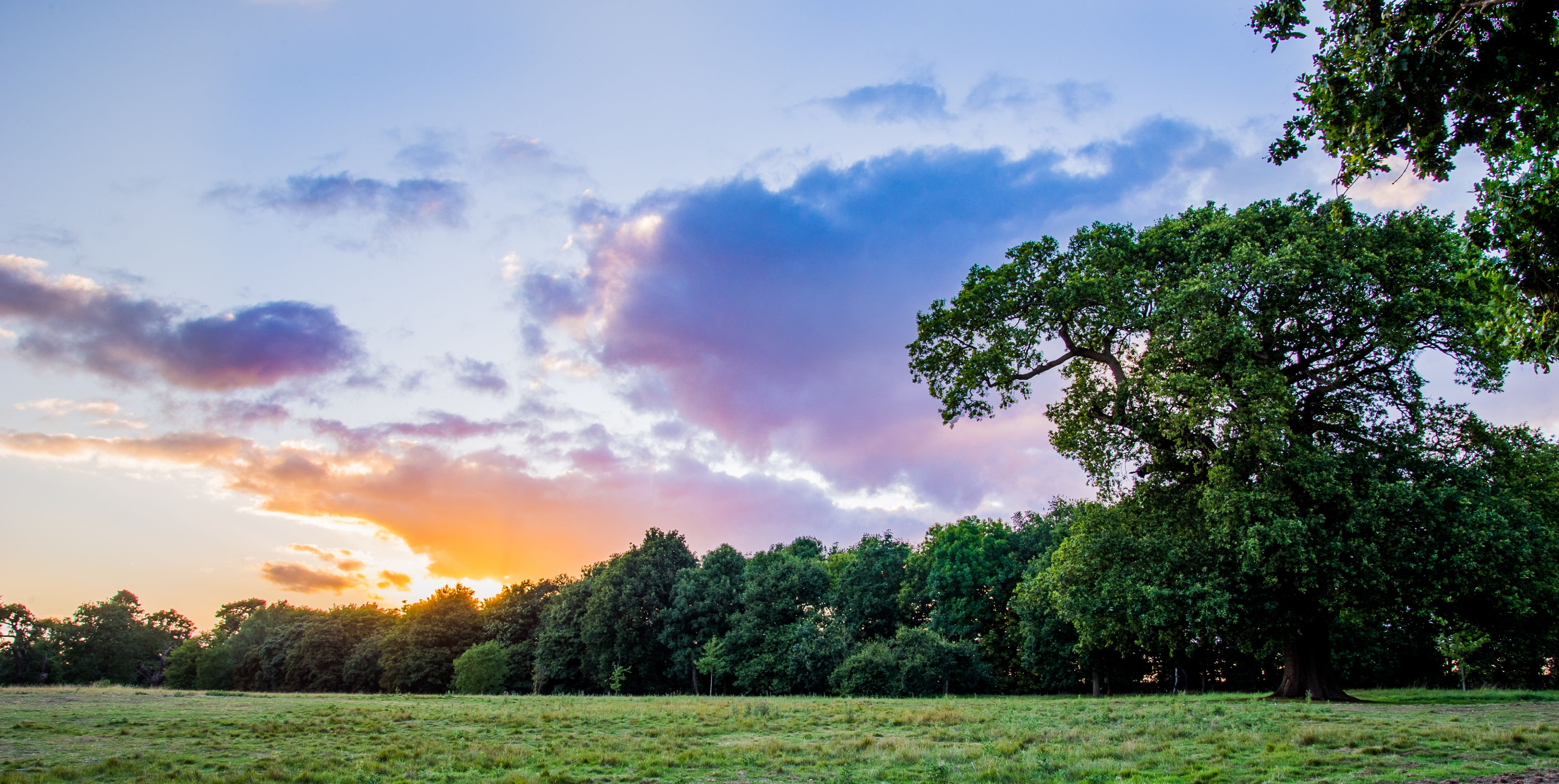 Sunrise on our campus