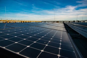 Solar panels at Colchester Campus