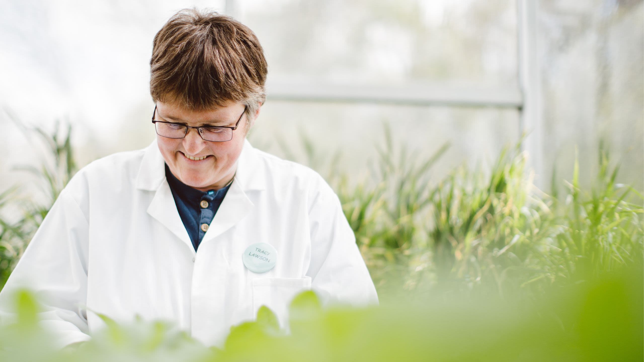 Professor Tracy Lawson