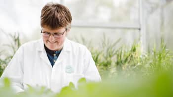 Professor Tracy Lawson