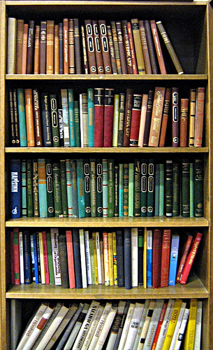 bookshelf photo
