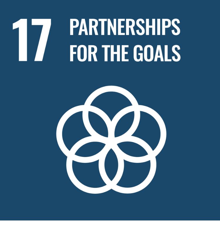 Icon for SDG 17 - Partnerships for the goals