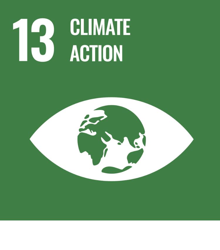 Icon for SDG 13 - Climate Action
