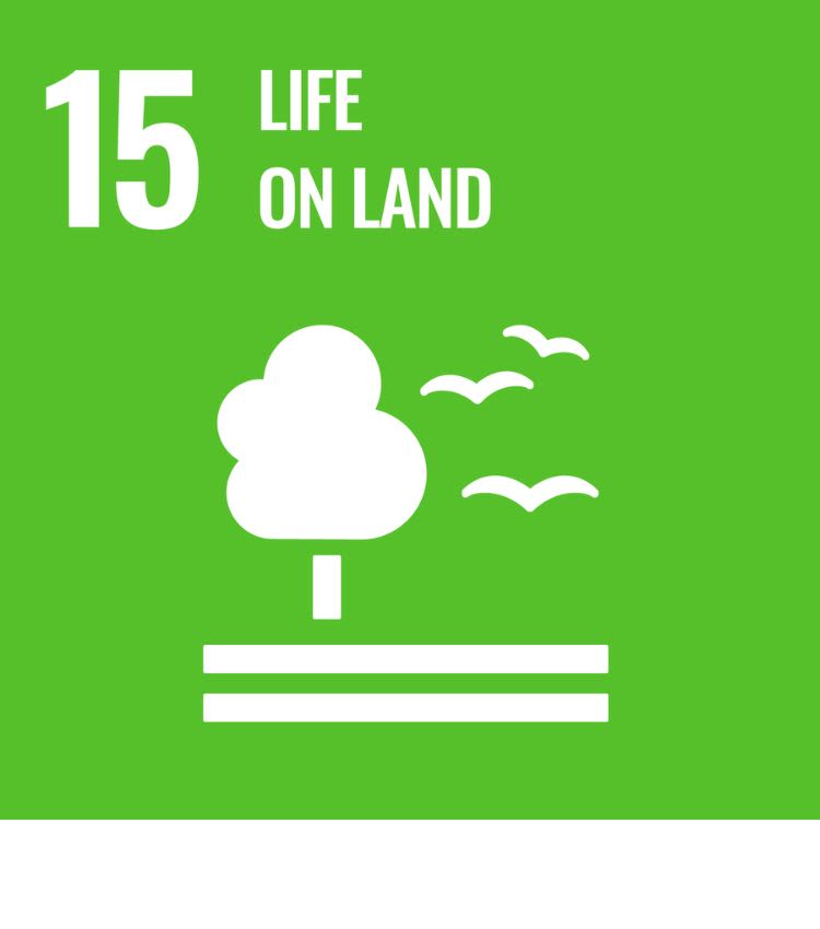 Icon for SDG 15 - Life on Land