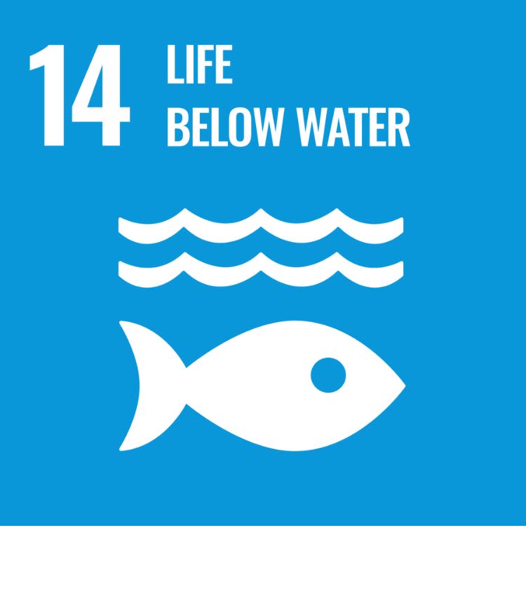SDG 14 icon for Life Below Water