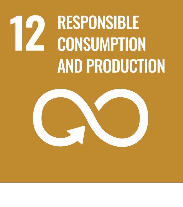 Icon for SDG 12 - Responsible consumption and production