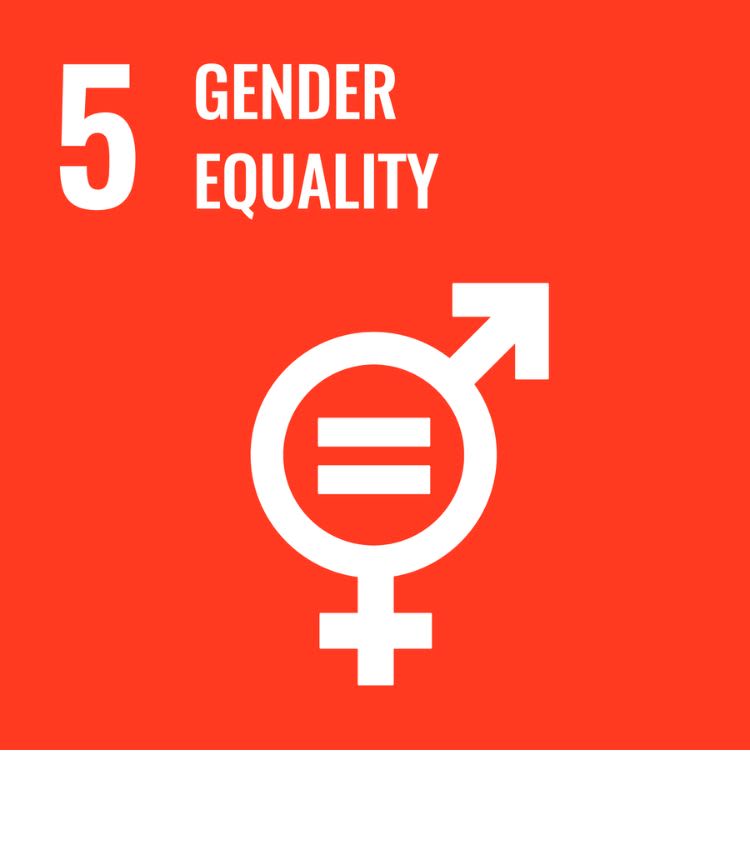 Icon for SDG 5 - Gender Equality