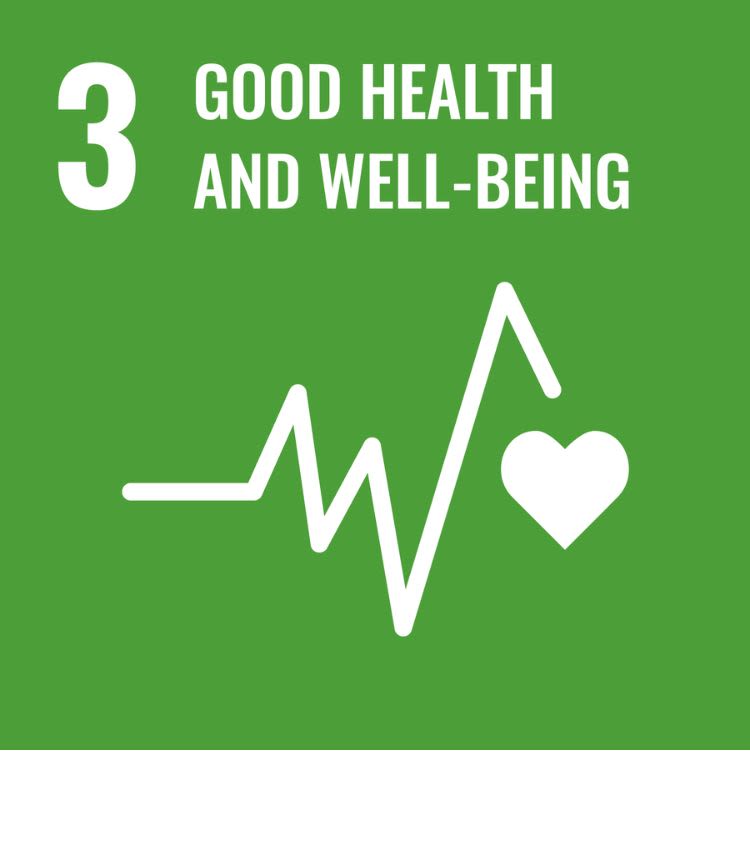 Icon for SDG 3 - Good Health and Well-being