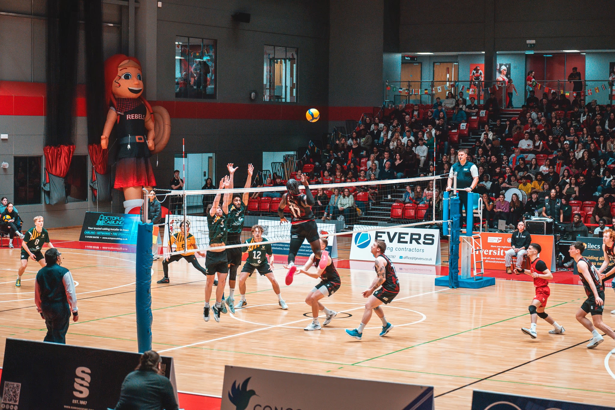 The University's professional volleyball team The Essex Rebels playing in the Essex Sport Arena. A rebels player is leaping for a smash.