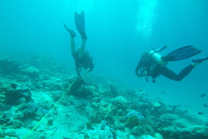 Scientists measuring coral in the Seychelles