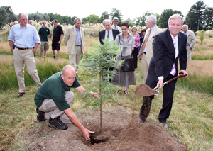 Australian High Commissioner plants Wollemi pine