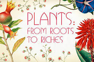Plants from roots to riches