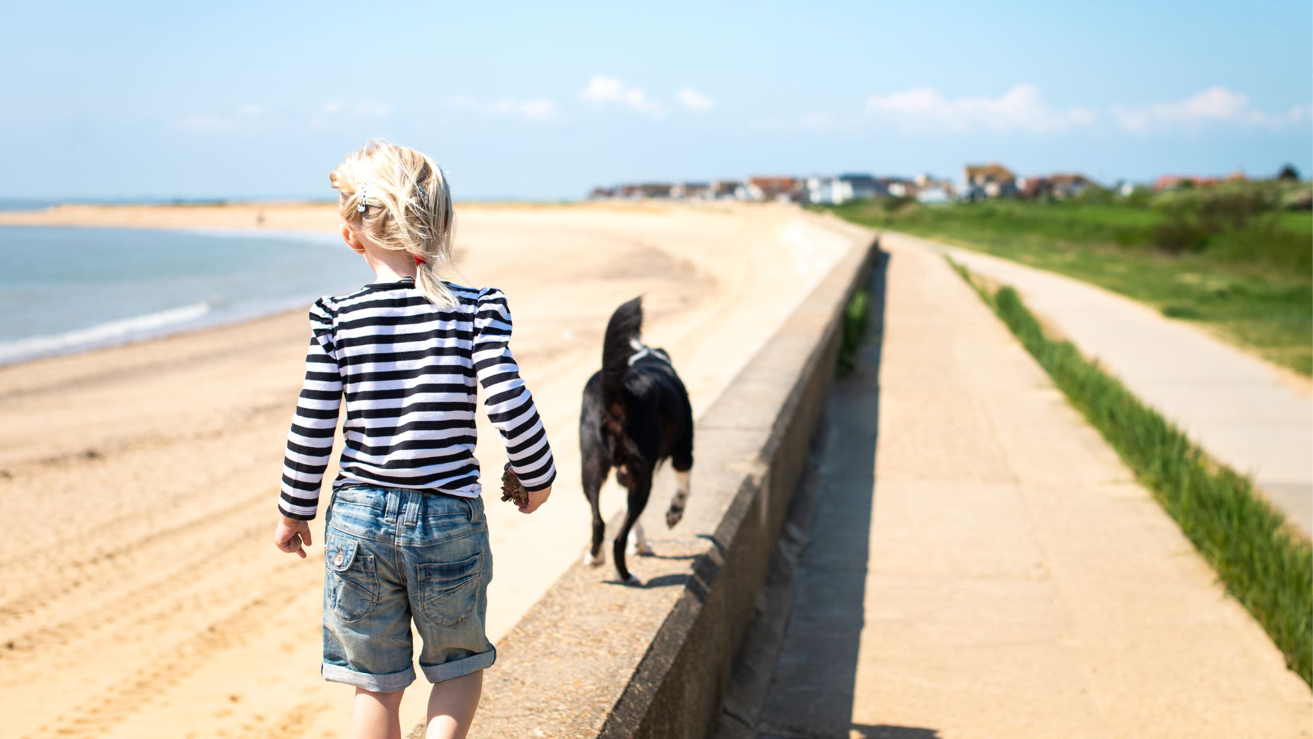 A little girl and dog walk along a beachfront wall in Essex
