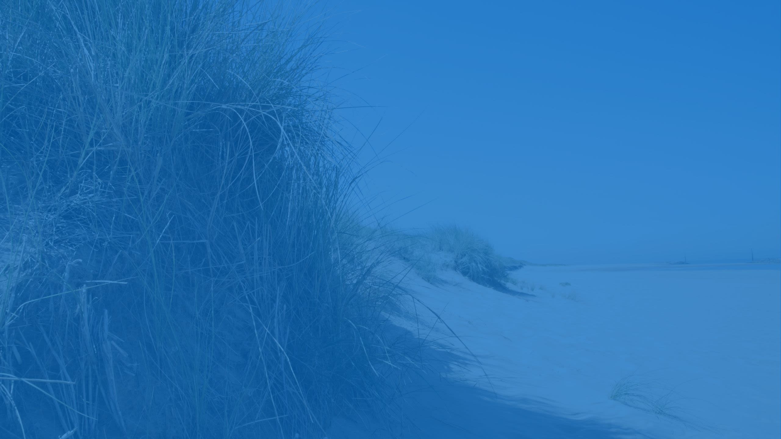 The beach at Sea Palling in Norfolk