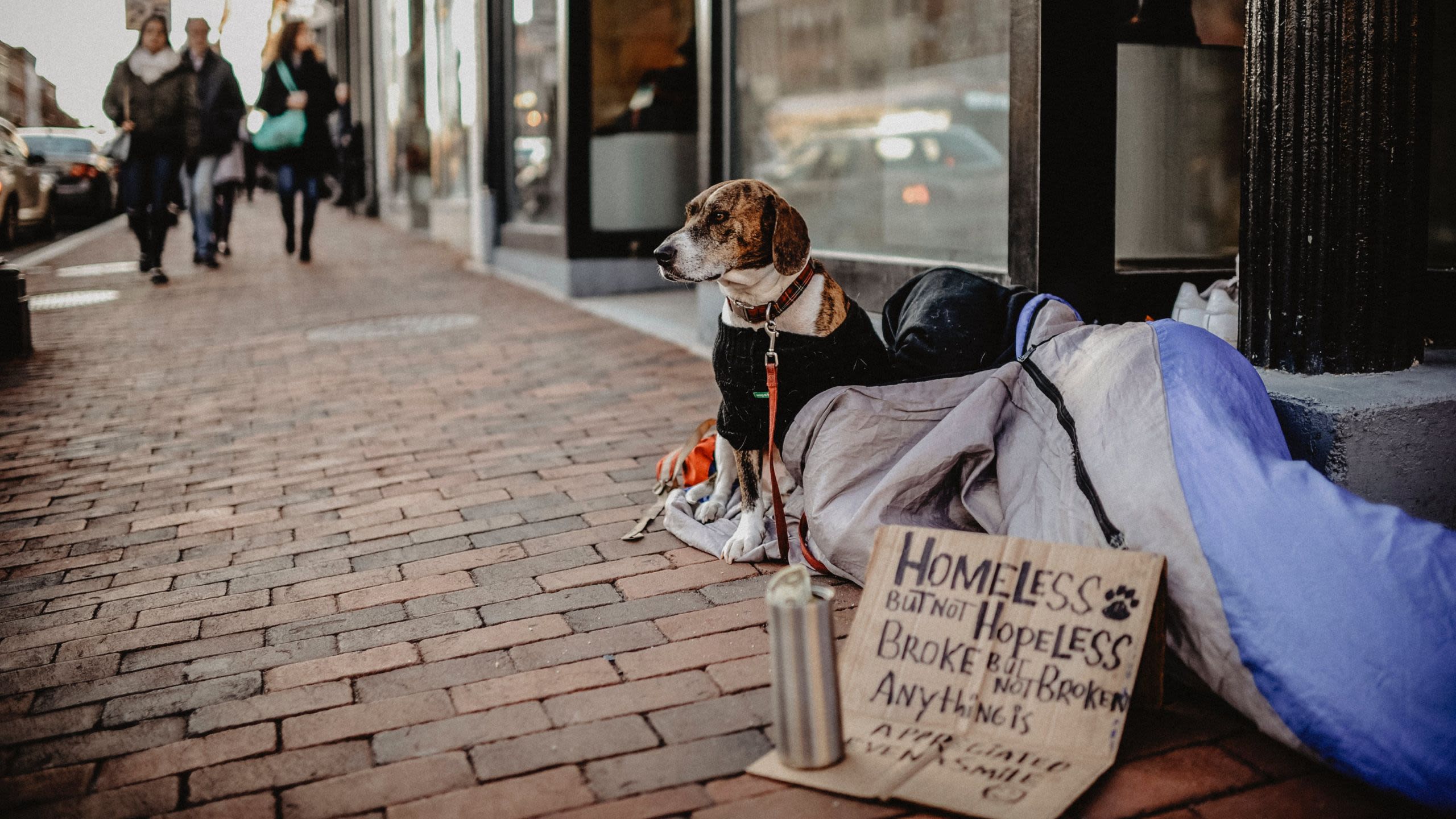 Homeless person on street with dog and homeless sign