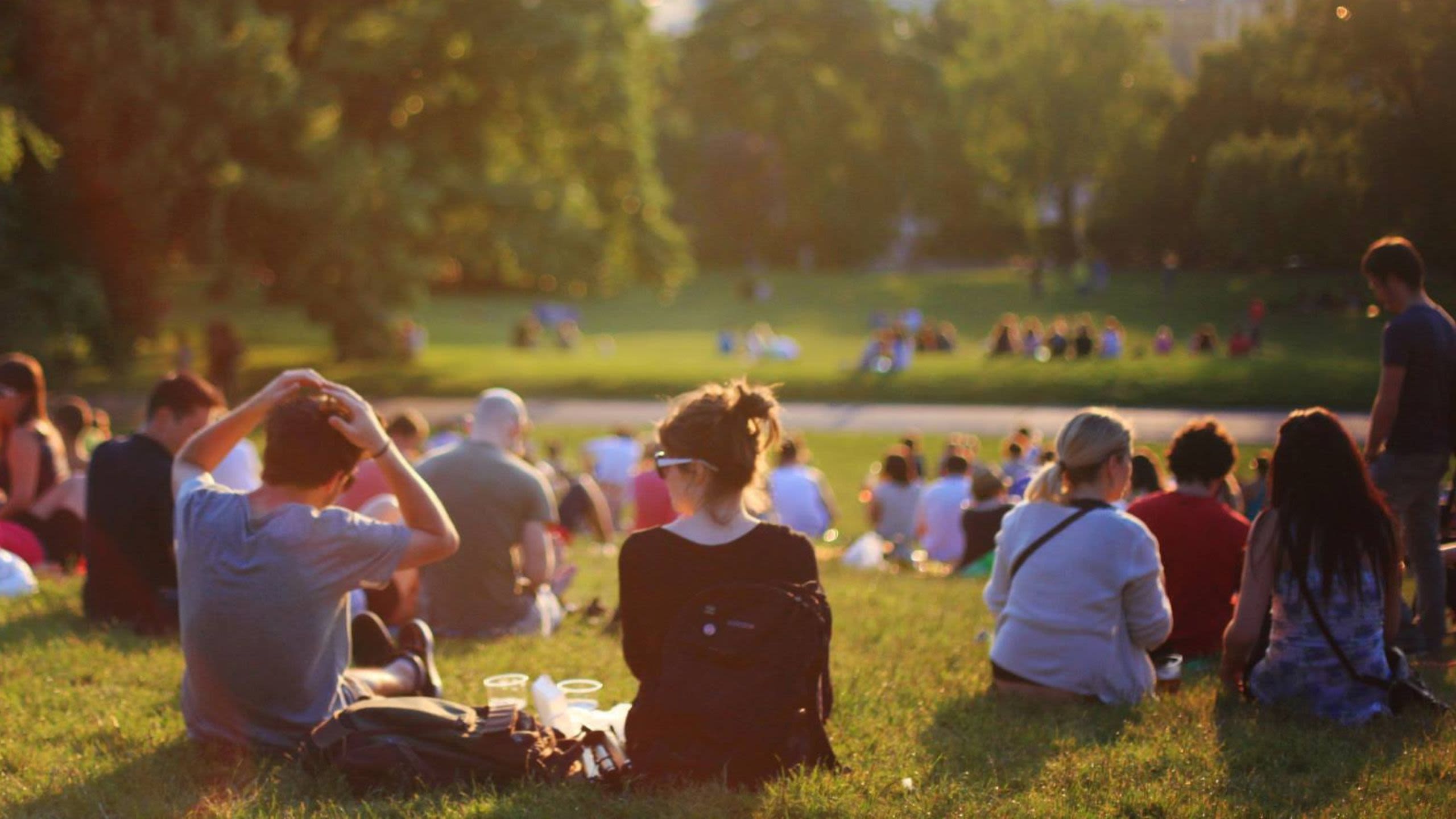 People sitting on a hill in the sunshine